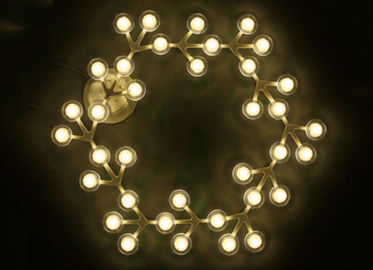 17 ไฟ LED วงกลมสุทธิไฟแขวนเพดานที่มีอบอุ่น LED สีขาว