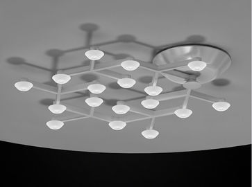 17 ไฟ LED วงกลมสุทธิไฟแขวนเพดานที่มีอบอุ่น LED สีขาว