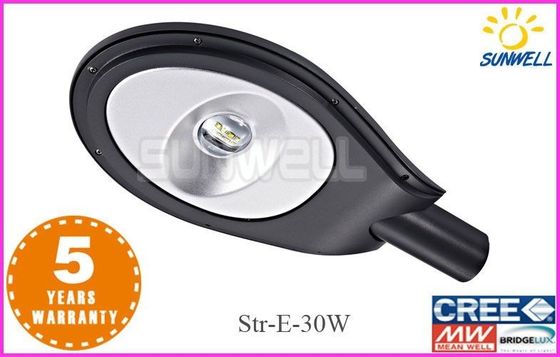 12 V / 24V สวนกลางแจ้งไฟถนนไฟกันน้ำ 30w 2800lm